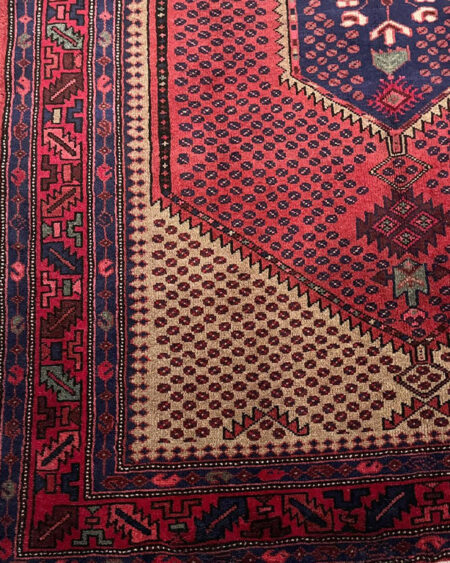 zanjan-rug-3zj257004(2)