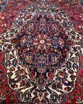 Bakhtiari-Rug-14BK357001(1)