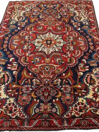 bakhtiari-rug-6bk357001