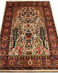 bakhtiari-rug-2.5bk407002