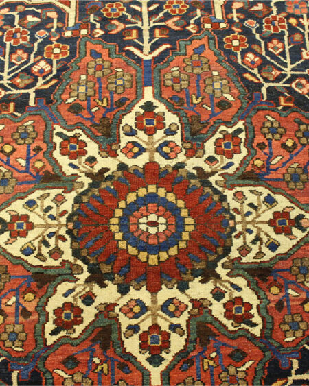 bakhtiari rug-9bk357001 (4)