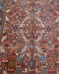 mehravan rug-7me7001