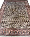 sarouk rug-9sa7001