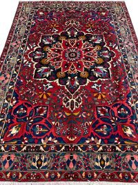 bakhtiari rug-6bk7003